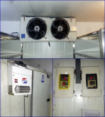 service coldstrage first love.jpg