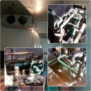 SERVICE COLDSTORAGE JAKARTA TANGERANG